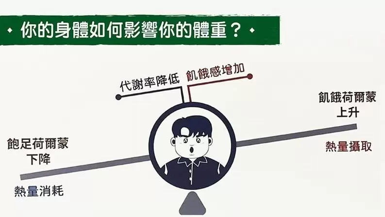 為什麼會復胖？年前甩脂大作戰