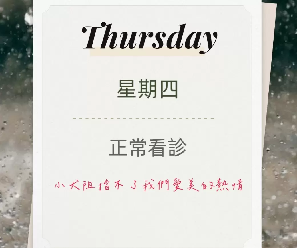 小犬獵犬不害怕10/5（四）正常看診